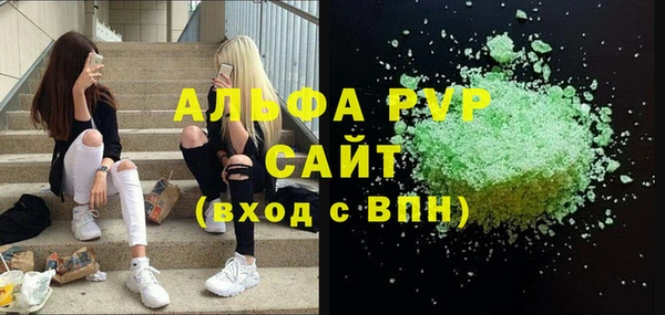 стафф Бородино